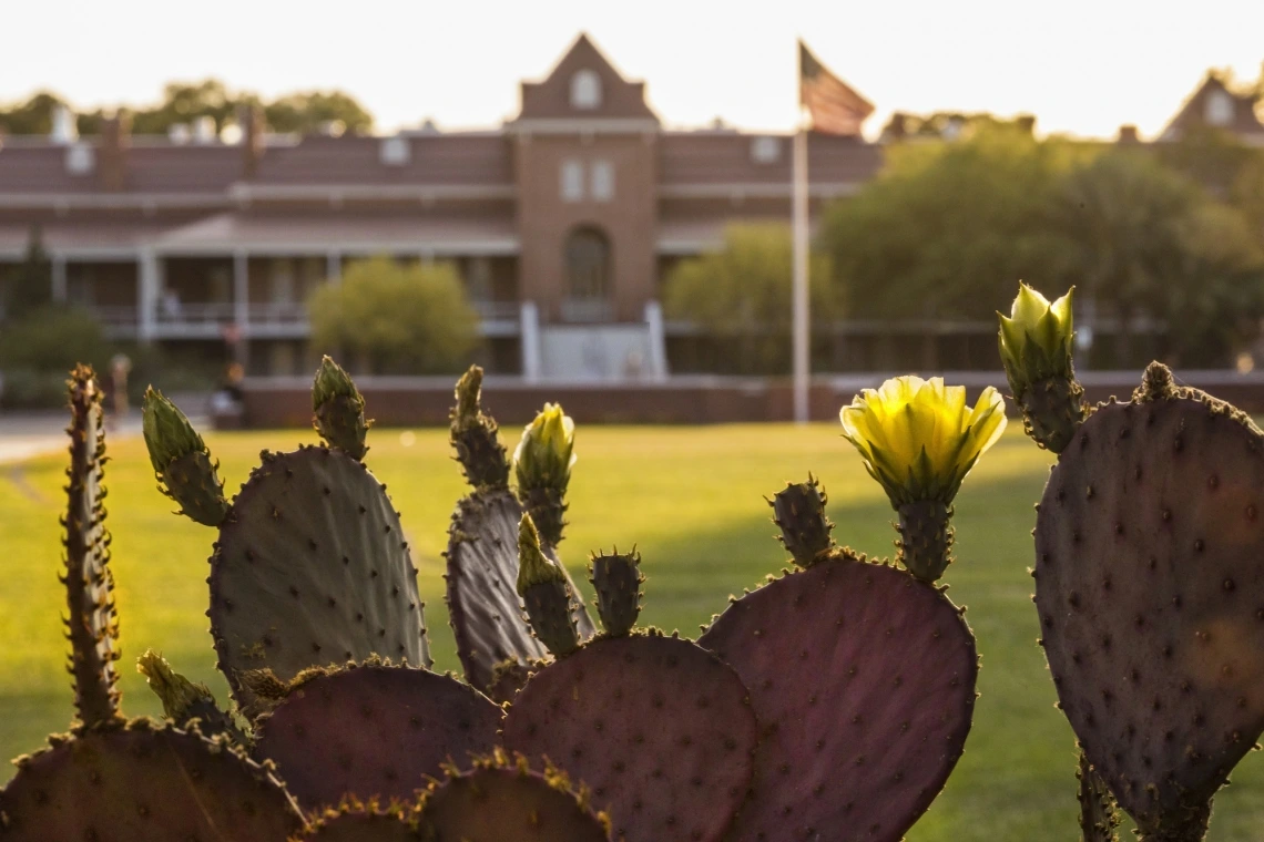 A Picture of a cactus with old main in the background