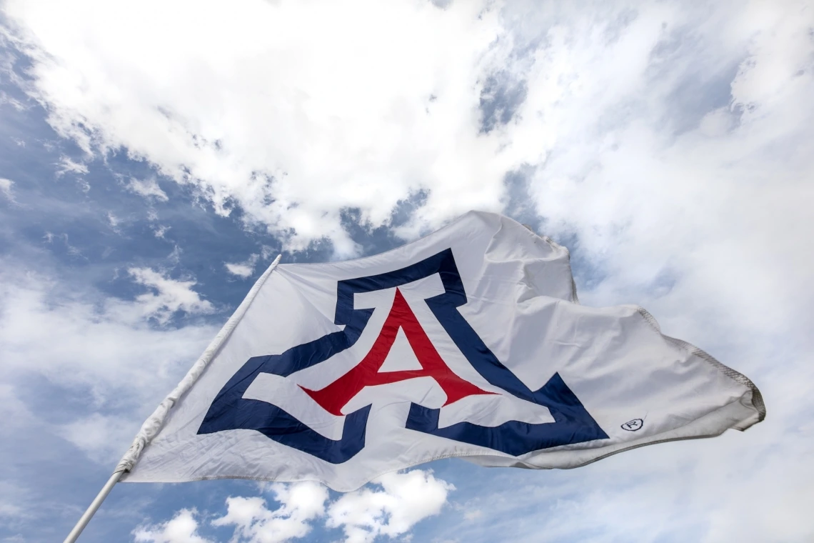 Picture of White UA Flag